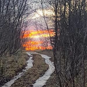 Meet your Posher, Laurie